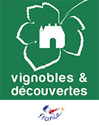 vignoble-et-decouverte